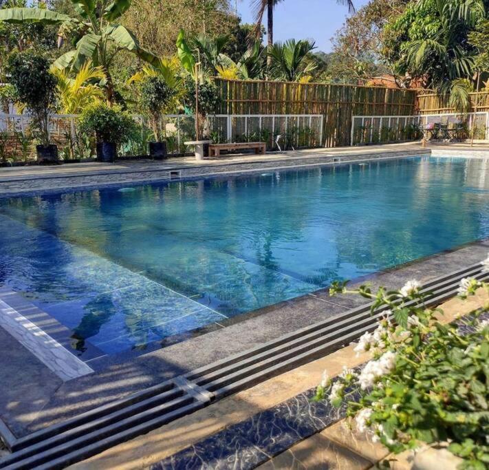 Ibiza Wonderland , Meppadi Wayanad Villa Bagian luar foto